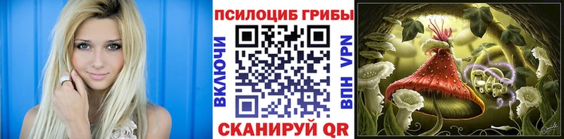 цена наркотик  OMG маркетплейс  Галлюциногенные грибы GOLDEN TEACHER  Нижний Новгород 